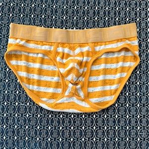 C-IN2 Hand Me Down Briefs